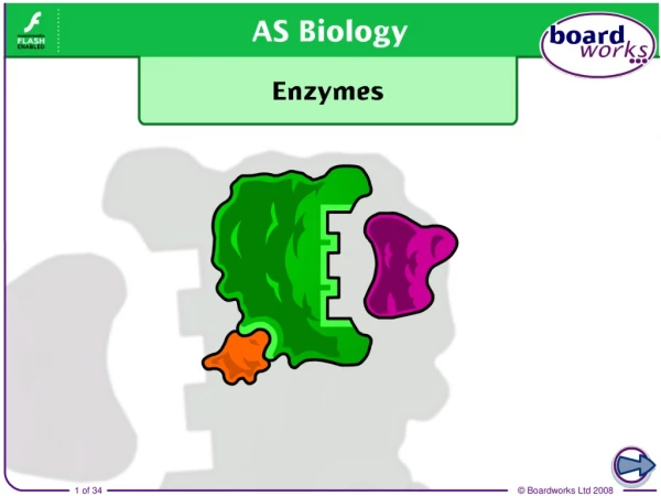 What are enzymes?