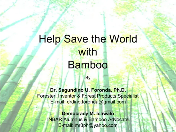 Help Save the World with Bamboo