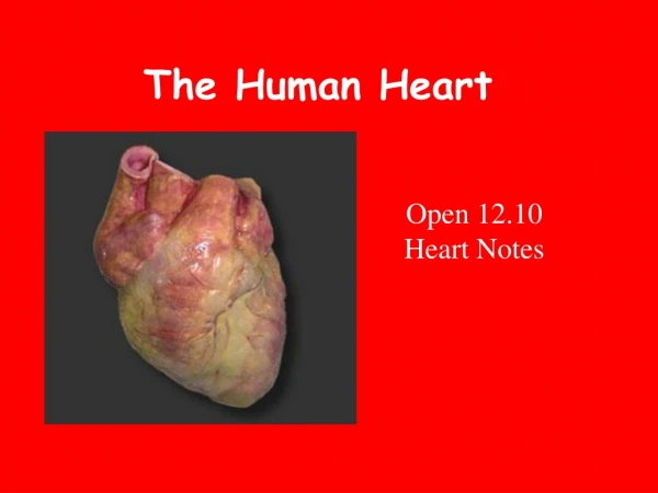 The Human Heart