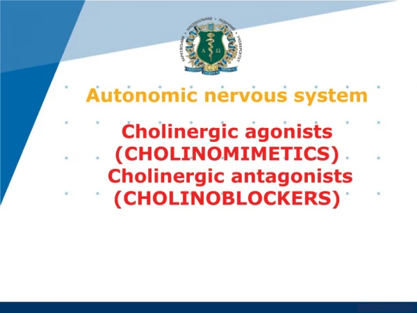 Functional divisions within the nervous system