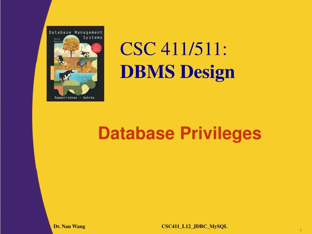 database privileges