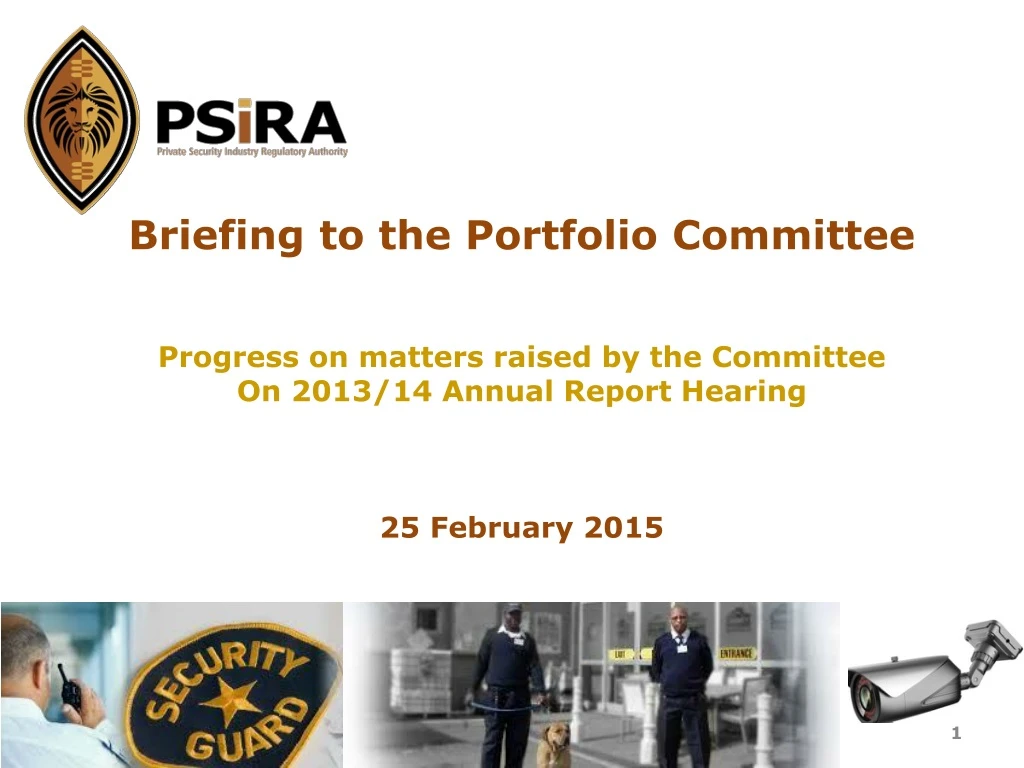 briefing to the portfolio committee progress