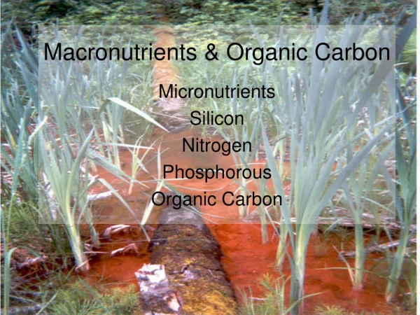 Macronutrients &amp; Organic Carbon