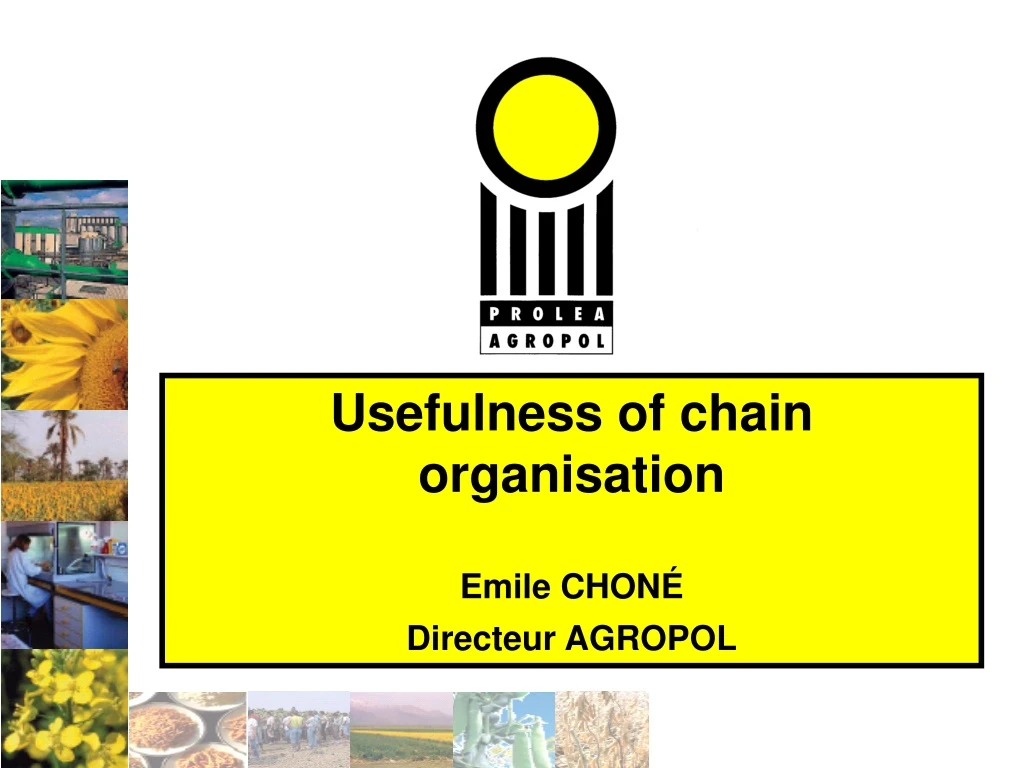 usefulness of chain organisation emile chon