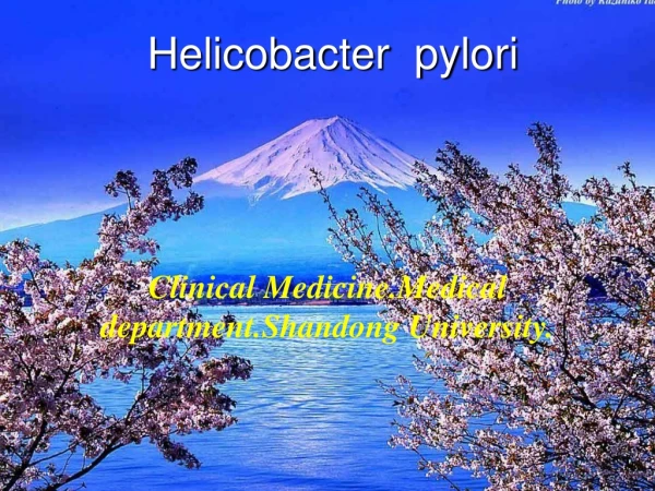 Helicobacter  pylori