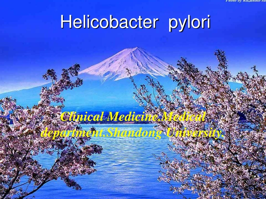 helicobacter pylori