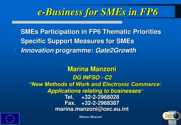 e-Business for SMEs in FP6