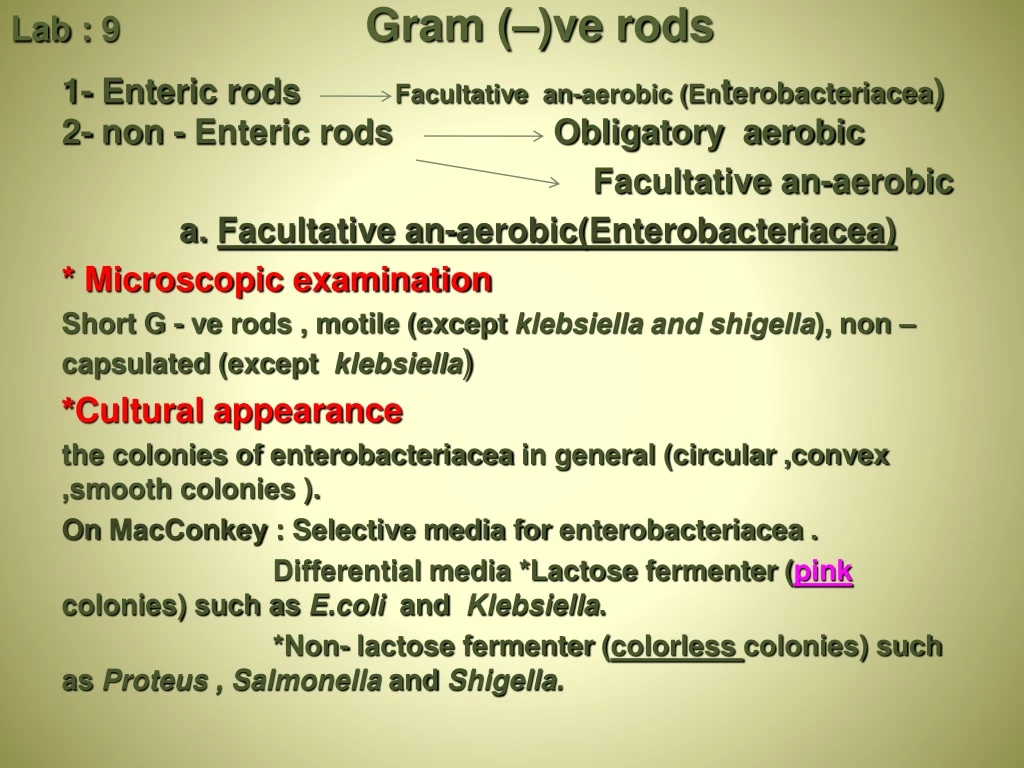 lab 9 gram ve rods