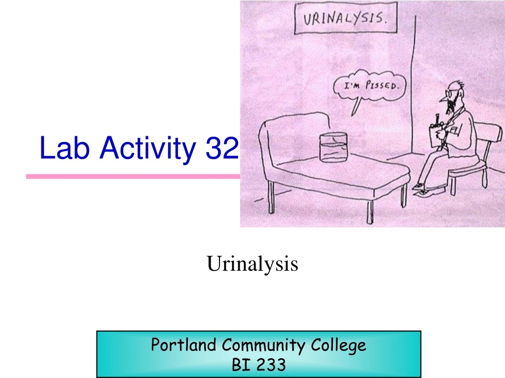 lab activity 32