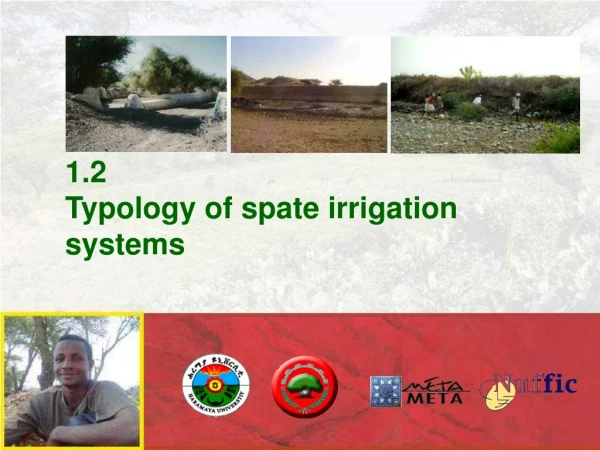 1.2	 Typology of spate irrigation systems