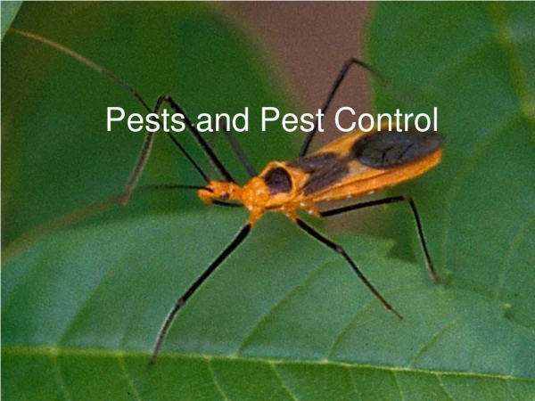 Pests and Pest Control