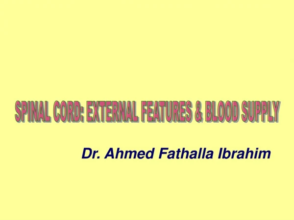 SPINAL CORD: EXTERNAL FEATURES &amp; BLOOD SUPPLY