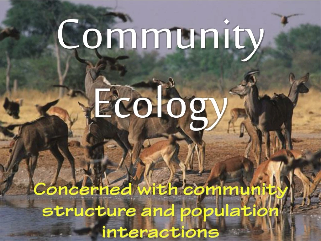 community ecology