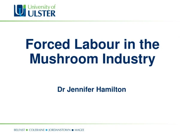 Forced Labour in the Mushroom Industry