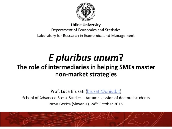 E pluribus unum ? The role of intermediaries in helping SMEs master non-market strategies
