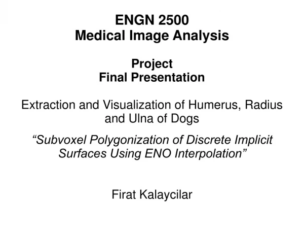 ENGN 2500 Medical Image Analysis Project Final Presentation