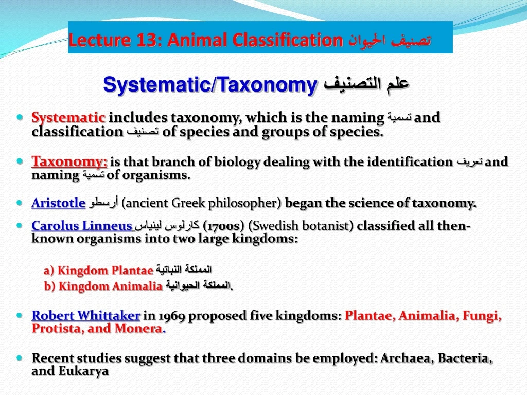 lecture 13 animal classification
