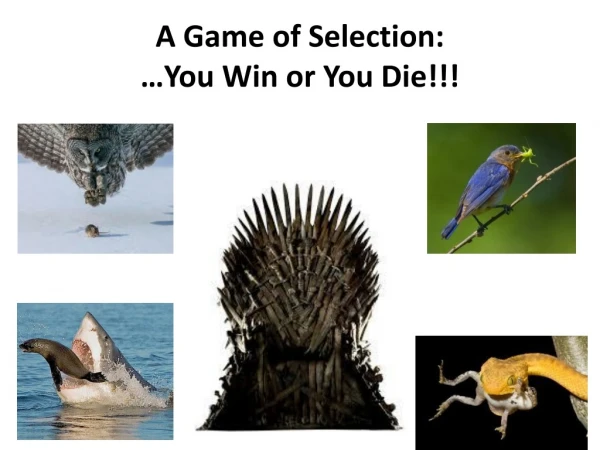 A Game of Selection: …You Win or You Die!!!