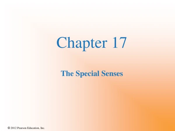 Chapter 17 The Special Senses