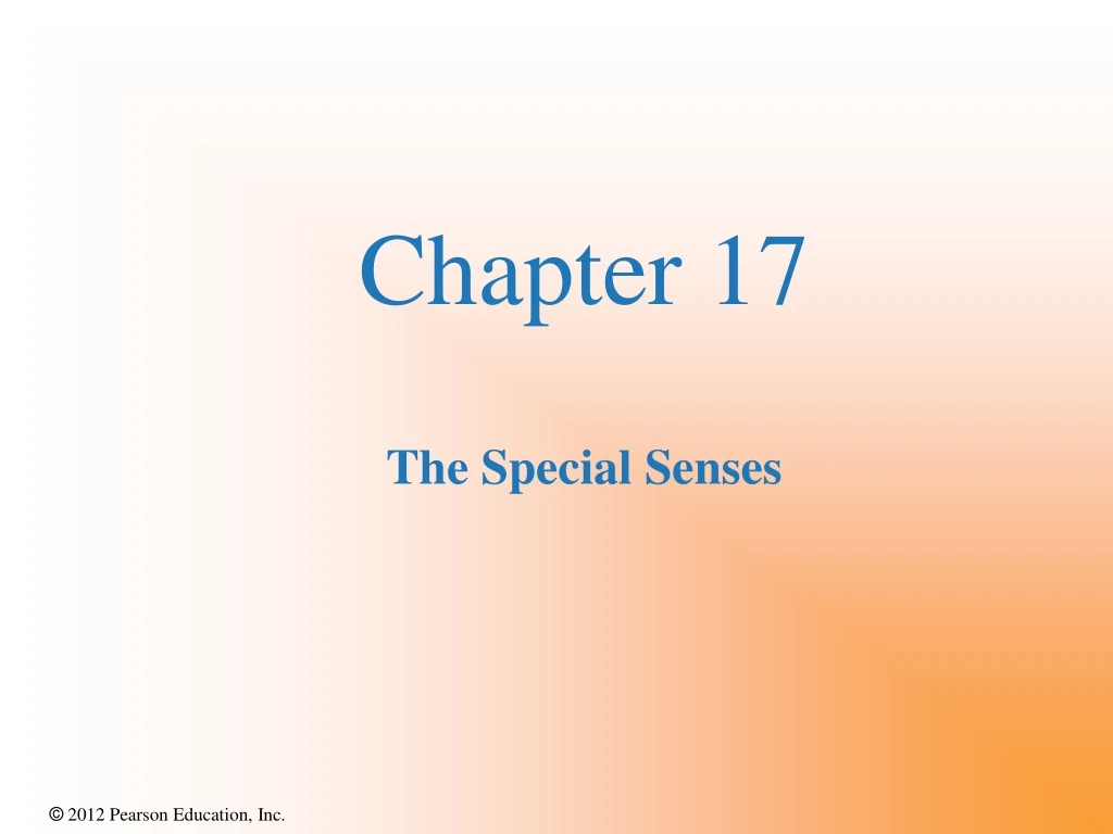chapter 17 the special senses