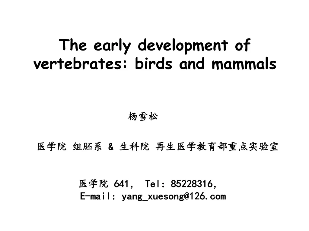 the early development of vertebrates birds