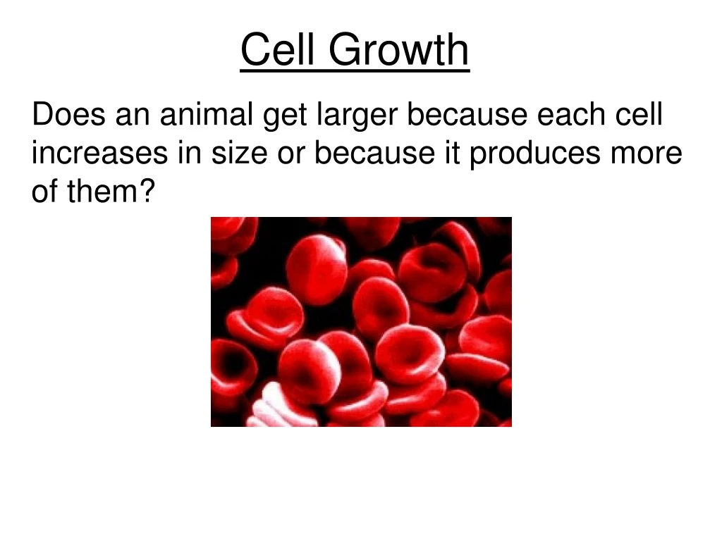 cell growth