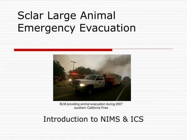 Sclar Large Animal Emergency Evacuation