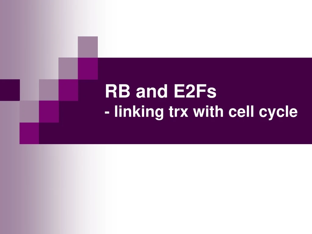 rb and e2fs linking trx with cell cycle