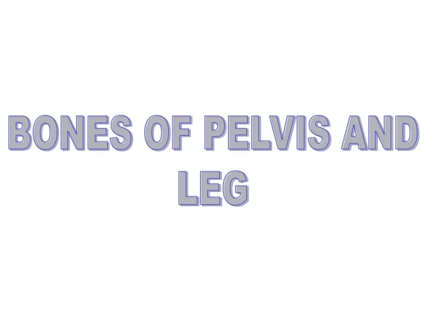 BONES OF PELVIS AND LEG