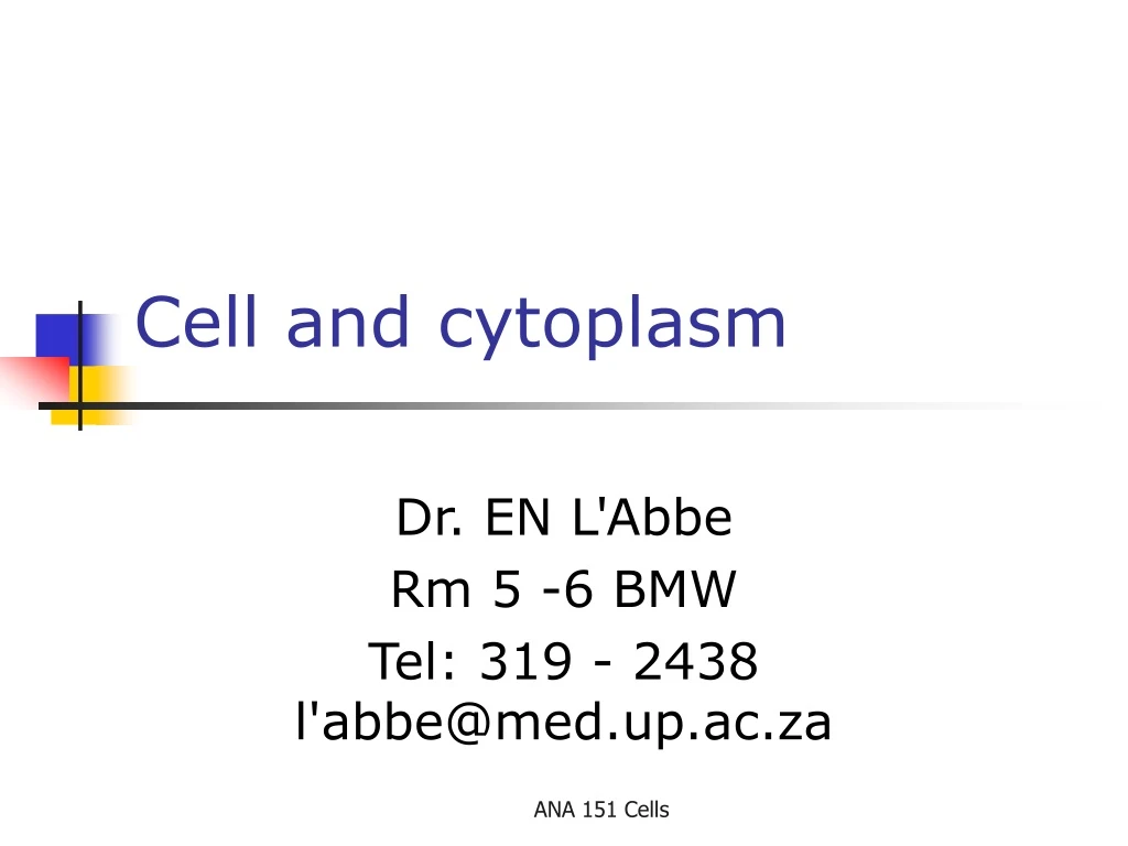 cell and cytoplasm