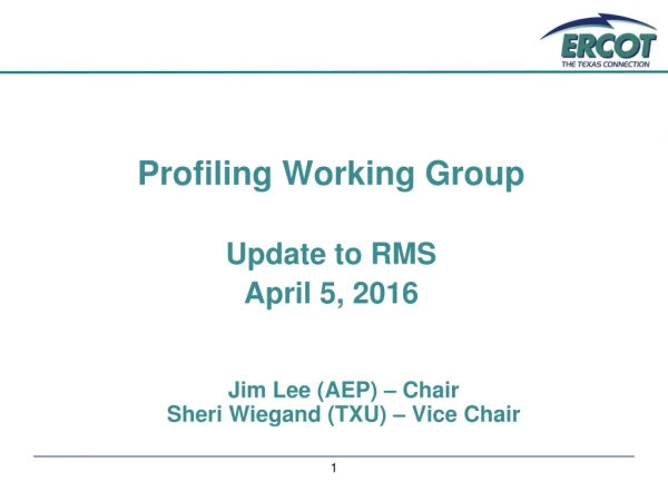 Profiling Working Group Update to RMS April 5, 2016