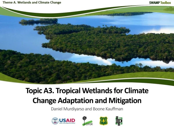 Introduction Why wetlands? Wetlands and global initiatives Tropical mangrove ecosystems