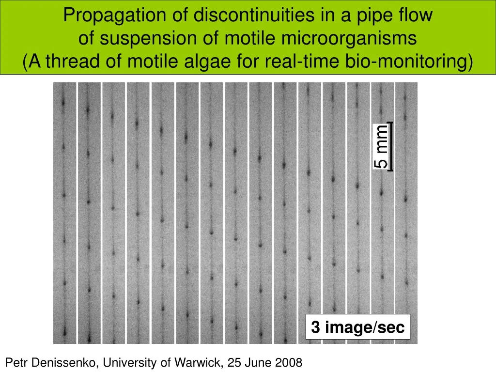 propagation of discontinuities in a pipe flow