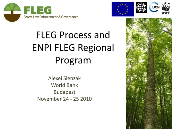 FLEG Process and  ENPI FLEG Regional  Program