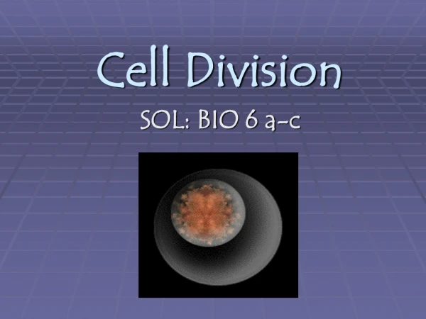 Cell Division