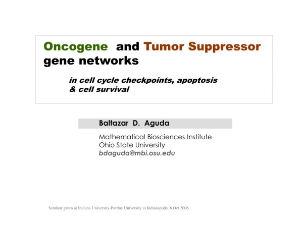 Oncogene   and  Tumor Suppressor gene networks           in cell cycle checkpoints, apoptosis