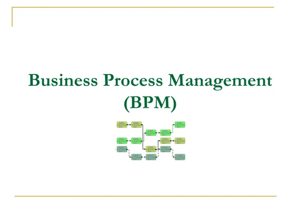 Business Process Management (BPM)