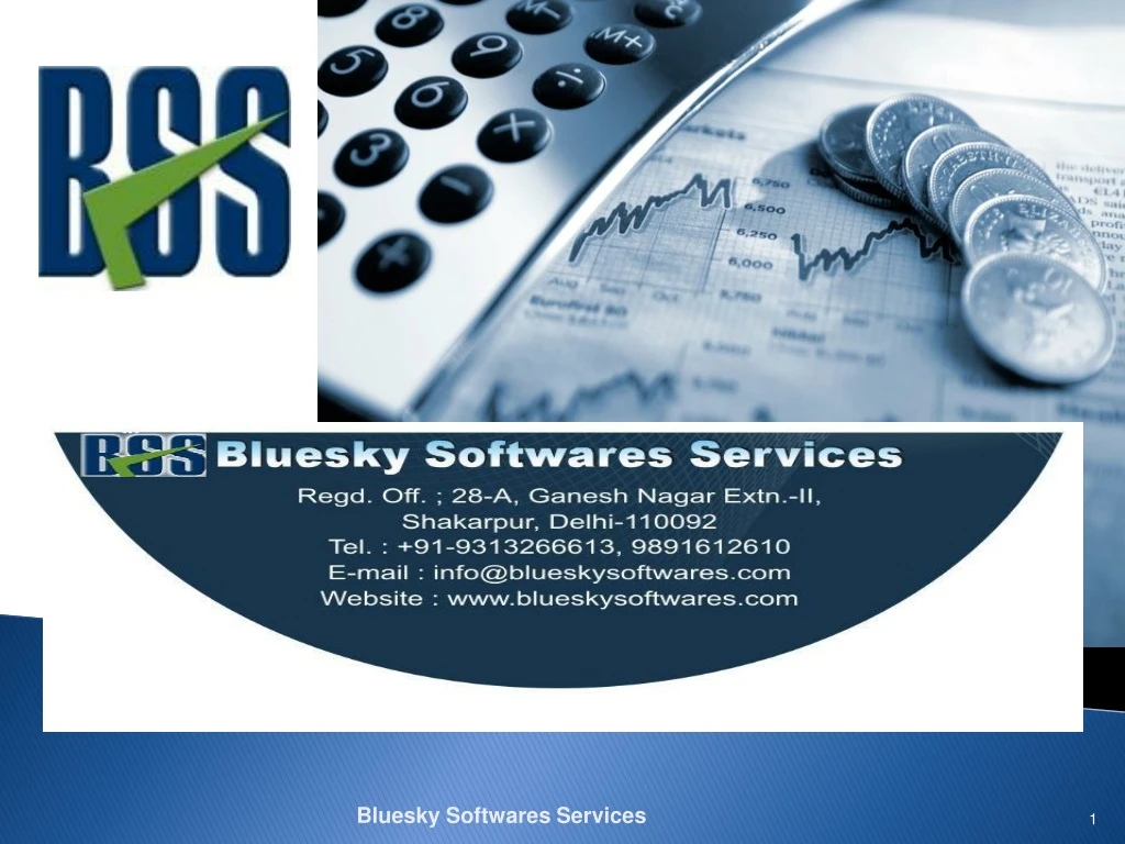 bluesky softwares services