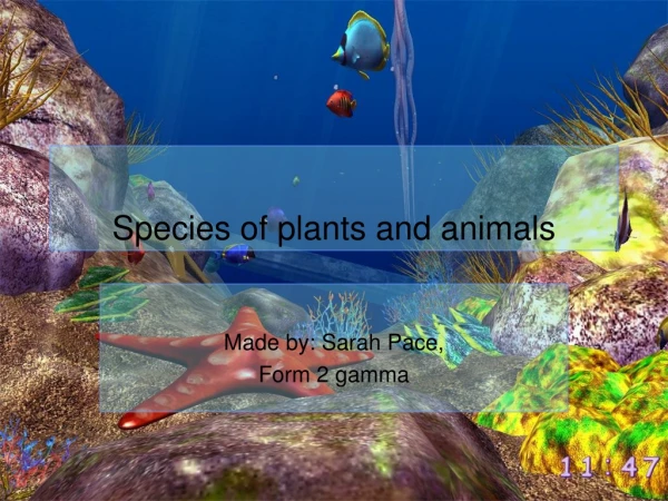 Species of plants and animals