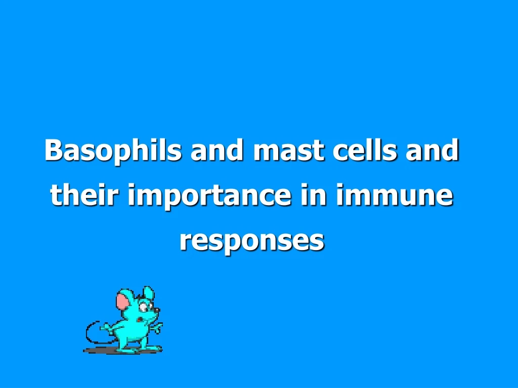 basophils and mast cells and their importance in immune responses