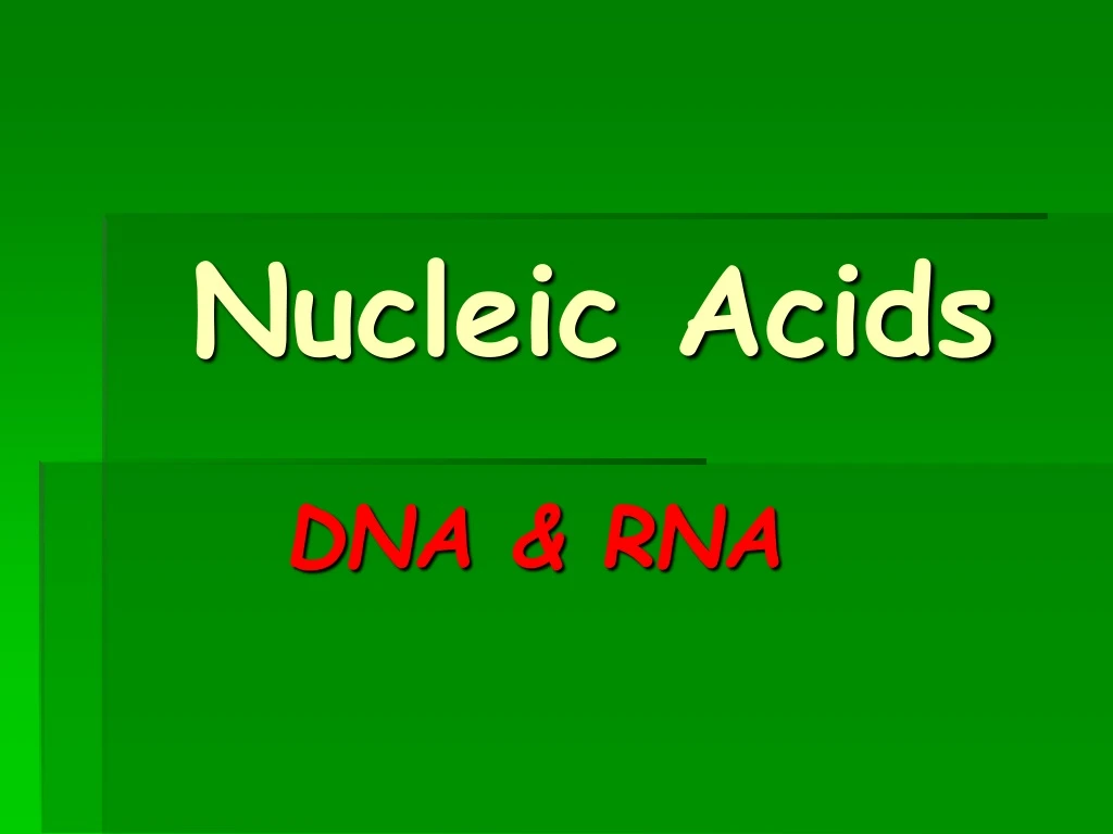 nucleic acids