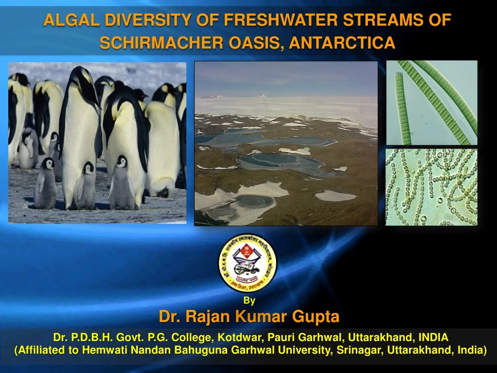 algal diversity of freshwater streams