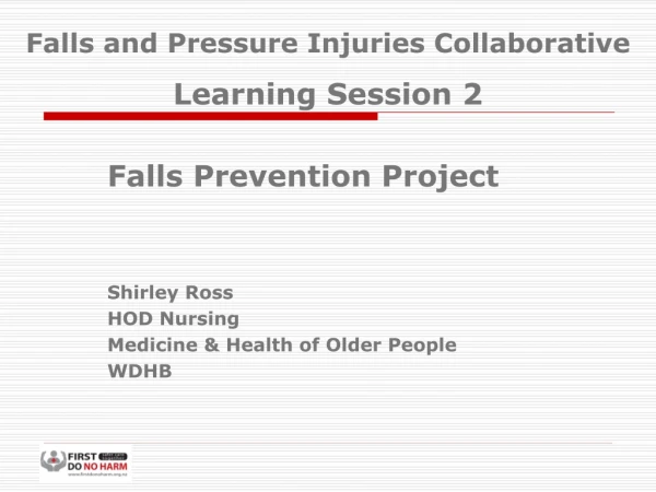 Falls Prevention Project  Shirley Ross HOD Nursing  Medicine &amp; Health of Older People WDHB