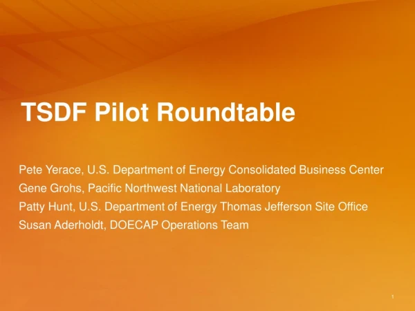 TSDF Pilot Roundtable