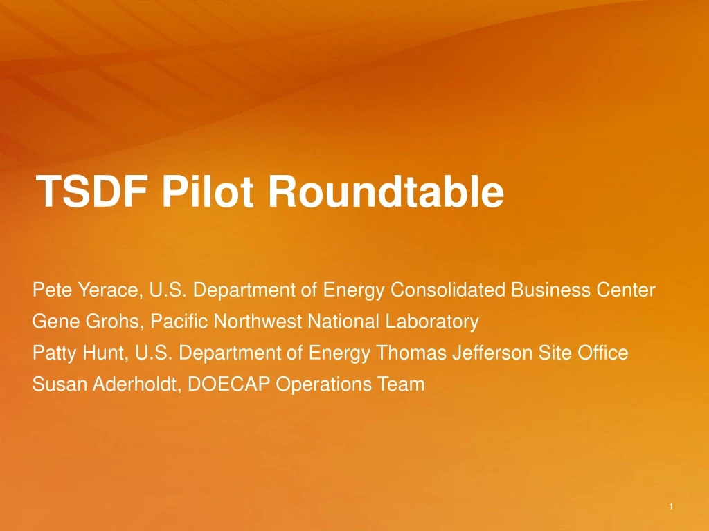 tsdf pilot roundtable