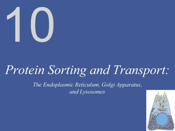Protein Sorting and Transport: