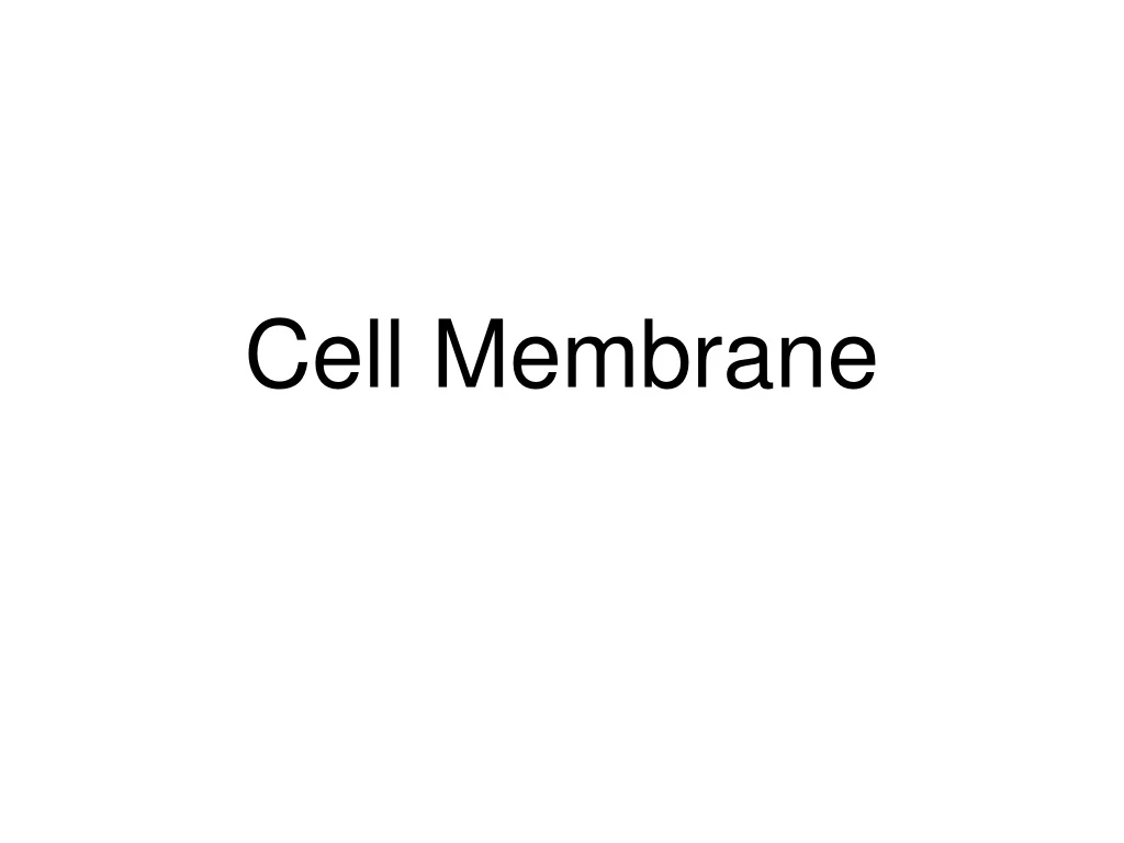 cell membrane