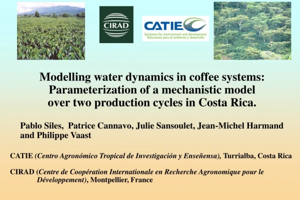 Modelling water dynamics in coffee systems: Parameterization of a mechanistic model