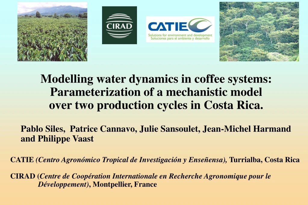 modelling water dynamics in coffee systems