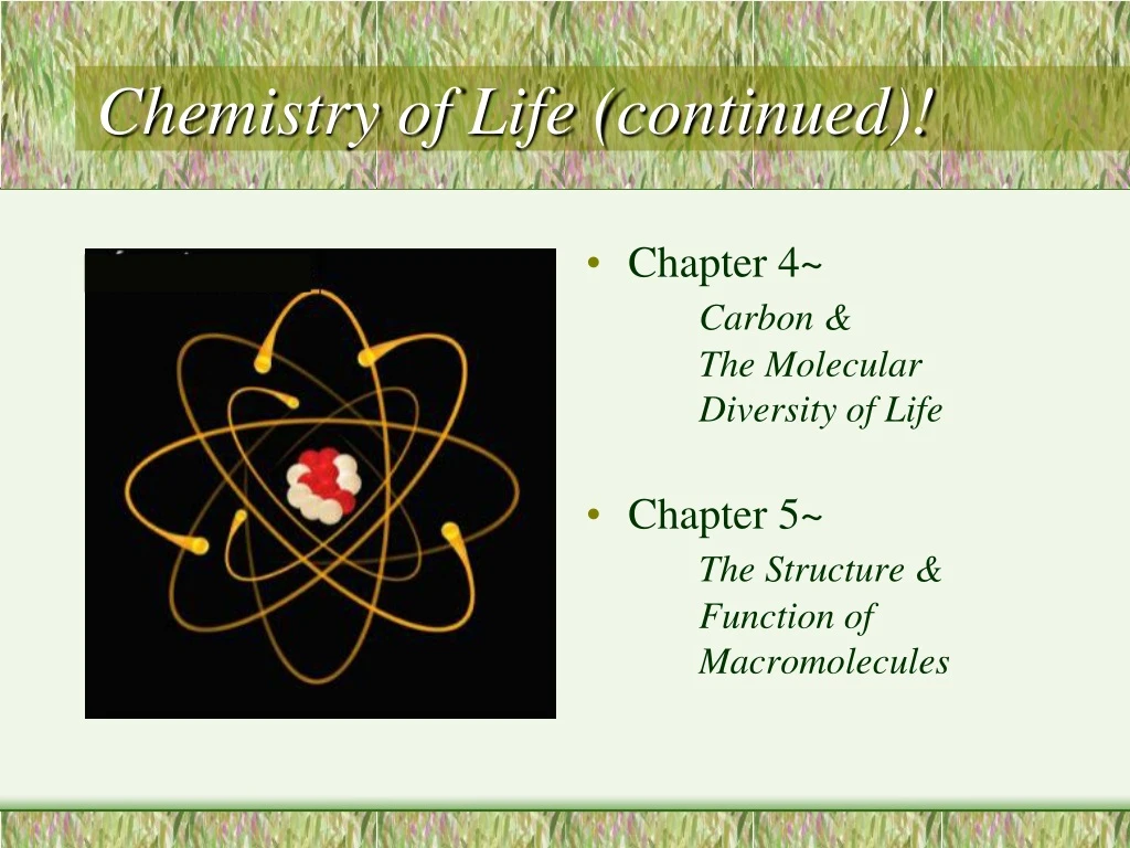 chemistry of life continued